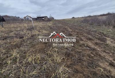 Spațiu comercial, în Paleu - 3