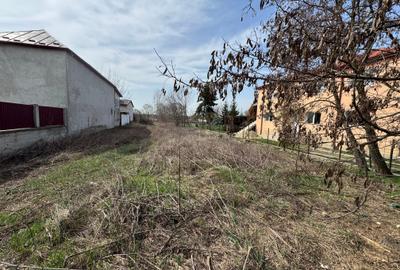 Teren Construcții intravilan de 1000 mp, în Dragomirești-Vale - 6