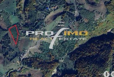 Teren de 3750 mp, în Moieciu