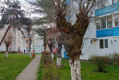 Apartament trei camere Iernuteni- Reghin - 2