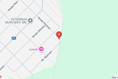 Casă de vânzare Sântana - 1