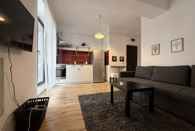 Studio modern cu centrala proprie, bloc nou - Zizin 8, Unirii - Vitan - 2