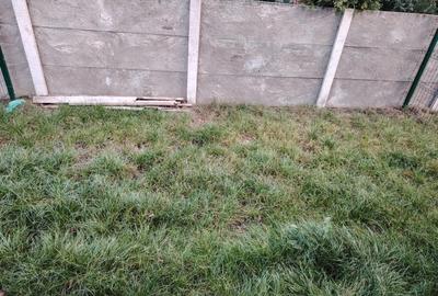 Montecatino - etaj 1 din 1 - comision 0 - 1