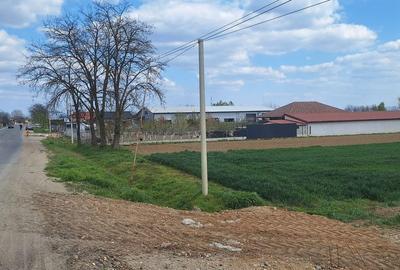 Teren de 4300 mp, în Păulești - 3