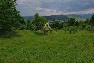 Teren de 23197 mp, în Mănăstirea Cașin - 1