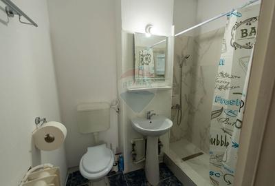 Apartament decomandat cu 2 camere de inchiriat - Camil Ressu Apartament decomandat cu 2 camere de inchiriat - Camil Ressu - 6