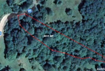 Teren de 3011 mp, în Plai - 1