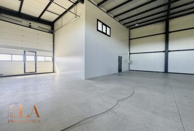 Spațiu industrial, de 540 mp, în Domnești - 4