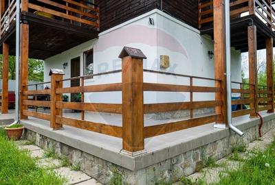 Vanzare vila, Stefesti-Prahova - 29