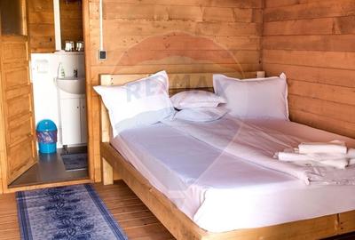 Hotel/Pensiune, de 410 mp, în Limanu - 14