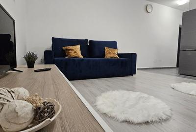 Inchiriere garsoniera noua 31 mp et 3 Bradadiru Jud Ilfov zuna Leroy Merlin - 8