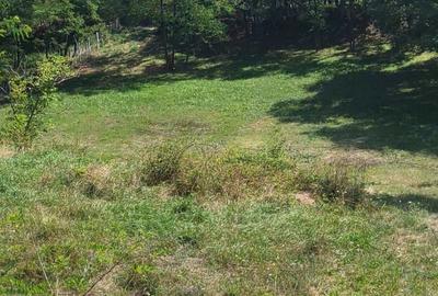 Spațiu comercial, în Nicolae Bălcescu