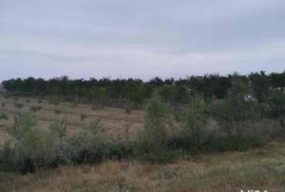 Casă cu 2 camere în Central - 2