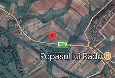 Teren Construcții intravilan de 23067 mp, în Brădești