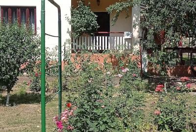 Casă cu 4 camere cu Teren 1890 Mp în Orbeni - 2