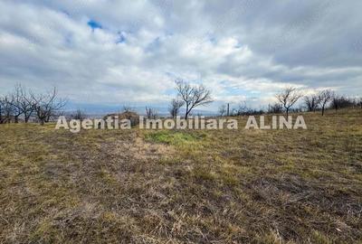 15 parcele de Teren intravilan in Deva, zona Calugareni, Strada Prunilor, Jud. Hd, cu PUZ, PUD, etc. - 3