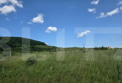 Teren de 5000 mp, în Ciurila - 1