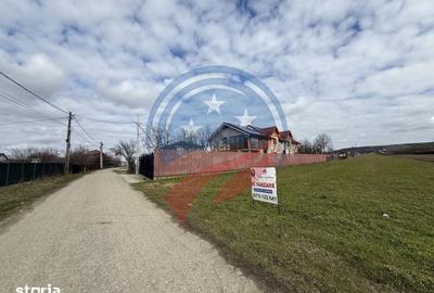 Teren de 1500 mp, în Coșoveni - 3