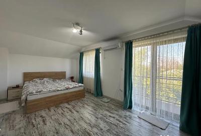 Casă cu 5 camere cu Teren 3784 Mp în Cornești - 6
