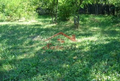 Teren de 1919 mp, în Cornu - 2