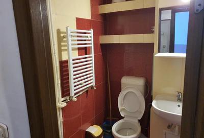 Apartament doua camere, mobilat, utilat, Ostroveni - 9