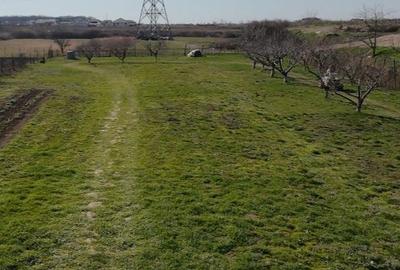 Spațiu comercial, în Cihei - 2