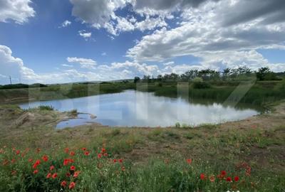 Teren de 10000 mp, în Șărmășag - 4