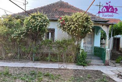 Casa in localitatea Ianosda - 1