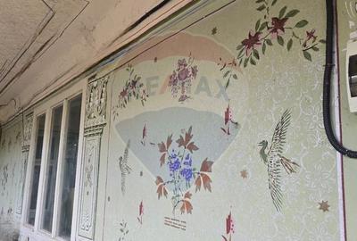 Casă individuală cu 3 camere cu Teren 7290 Mp în Socodor - 12