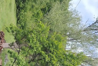 Teren de 2 mp, în Mânzălești - 2