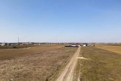 Teren de 418 mp, în Berceni - 2