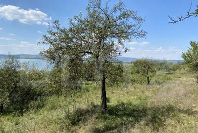 Teren de 3800 mp, în Recea - 4