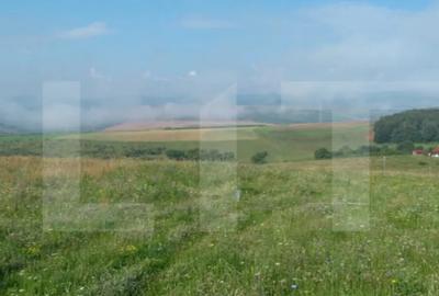 Teren de 1000 mp, în Sălicea - 2