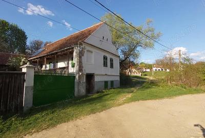 Casă cu 2 camere cu Teren 1000 Mp în Comana - 7