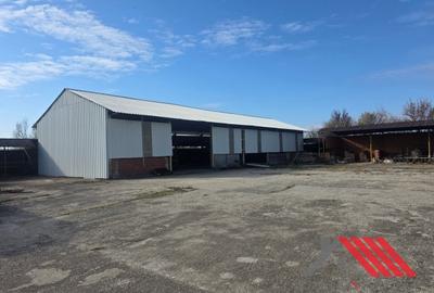 Cheveresul Mare – Platforma betonata, Hala - 1