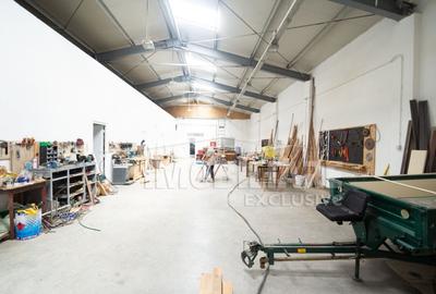 Spațiu comercial, de 560 mp, în Remetea Mare - 6