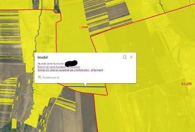 Teren Extravilan Corni, Cota parte 1/2, ID: R2581783 - 5