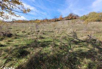 Teren de 10143 mp, în Bâlc