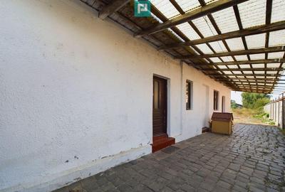 Casa individuala in zona Freidorf, Timisoara - 5