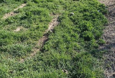 Spațiu comercial, în Poiana - 1