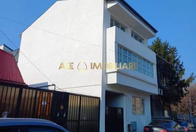 Apartament cu 2 camere semidecomandat, mobilat în Parcul Carol - 9