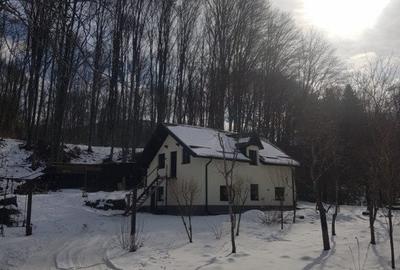 Casa de vacanta pe valea Avrigului - 7