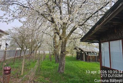 Casă cu 3 camere în Bălțești - 1