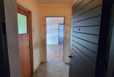 Apartament cu 2 camere semidecomandat în Bucureștii Noi - 2