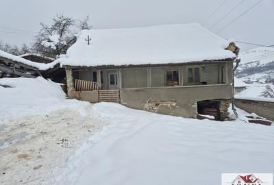 Casa de vanzare in Cricau - Tibru - 7