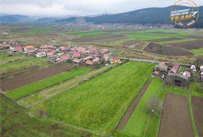 FILM!Potential rezidential investitional: 8.000 mp intravil - 12