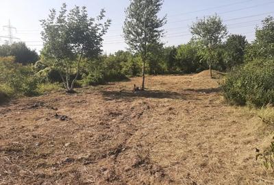 Teren de inchiriat-1300 mp, Sector 3, Str. Lunca Cetatii - 2