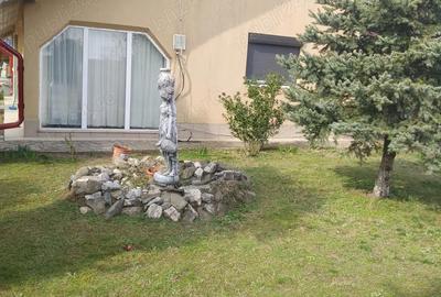 Casă cu Teren 1000 Mp în Mircea Vodă - 6