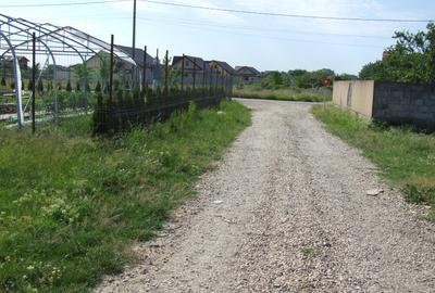 Domnesti-Ciocarliei, Afinului - 2