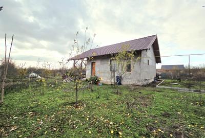 Casă pe structură de lemn Construcție modernă, eficientă și durabilă la Schela - 1